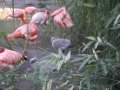 IMGP0772.JPG